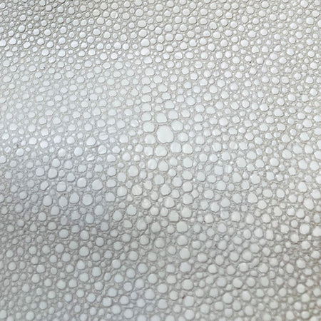 *NEW* Alexa Creme Scale - Lara B. Designs, Inc.