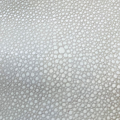 *NEW* Alexa Creme Scale