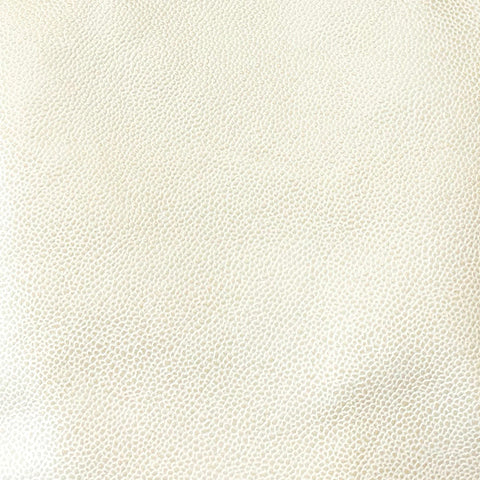 *NEW* Foxy Hobo Creme Pebble